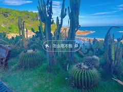 -广东惠东海龟国家级自然保护区