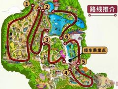 -广州长隆野生动物世界