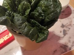 -邵汇大虾(甘井子万达店)