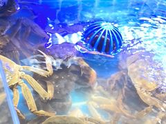 -四囍码头海鲜烧烤自助火锅(外滩南京东路悦荟广场店)