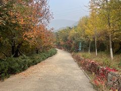 -北京十三陵国家森林公园蟒山景区