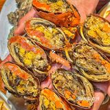 成都人均💰70r的平价海鲜🦀️拌面超绝