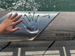 -星光大道