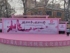 -桃花堤公园