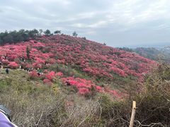-木兰云雾山
