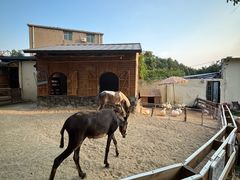 -HERRE·FARM 赫尔露营农场·团建聚会包场