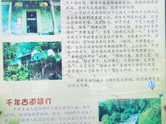 -广州市帽峰山景区