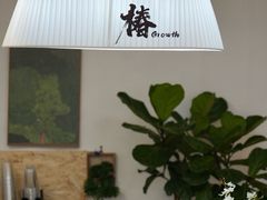 -椿Growth