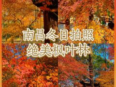 -凤凰沟景区