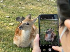 -北京鹿世界主题园