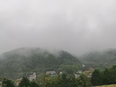 -牛背梁国家森林公园