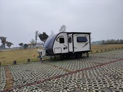 -合肥滨湖国家森林公园