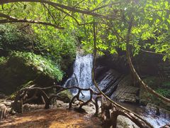 -江西阳明山国家森林公园