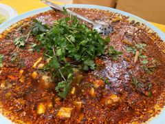 -胖大姐黄辣丁鱼庄(新津店)