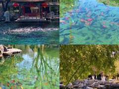 -老板恋上鱼(恒隆广场店)