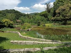 -云溪植物园