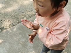 -韶山毛泽东同志故居