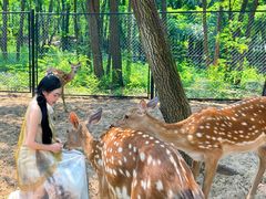 -南戴河国际娱乐中心