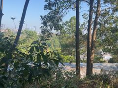 -东莞植物园