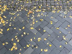 -羊坝头新鲜牛羊肉(中山中路店)