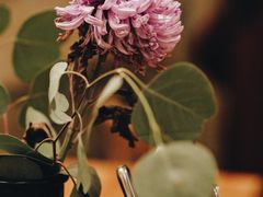 餐具摆设-RAC BAR(安福路店)