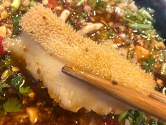 -镇江龙·火锅串串(武侯祠店)