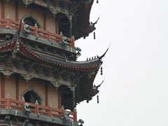 -葛仙湖公园