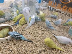 -百联西郊购物中心·停车场