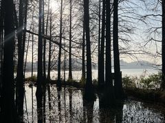 -东湖落雁景区