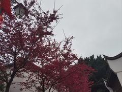 -乌山风景区