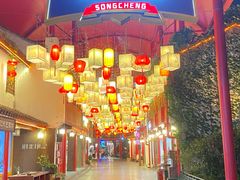 -杭州宋城