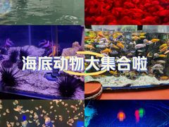 -太平洋海底世界