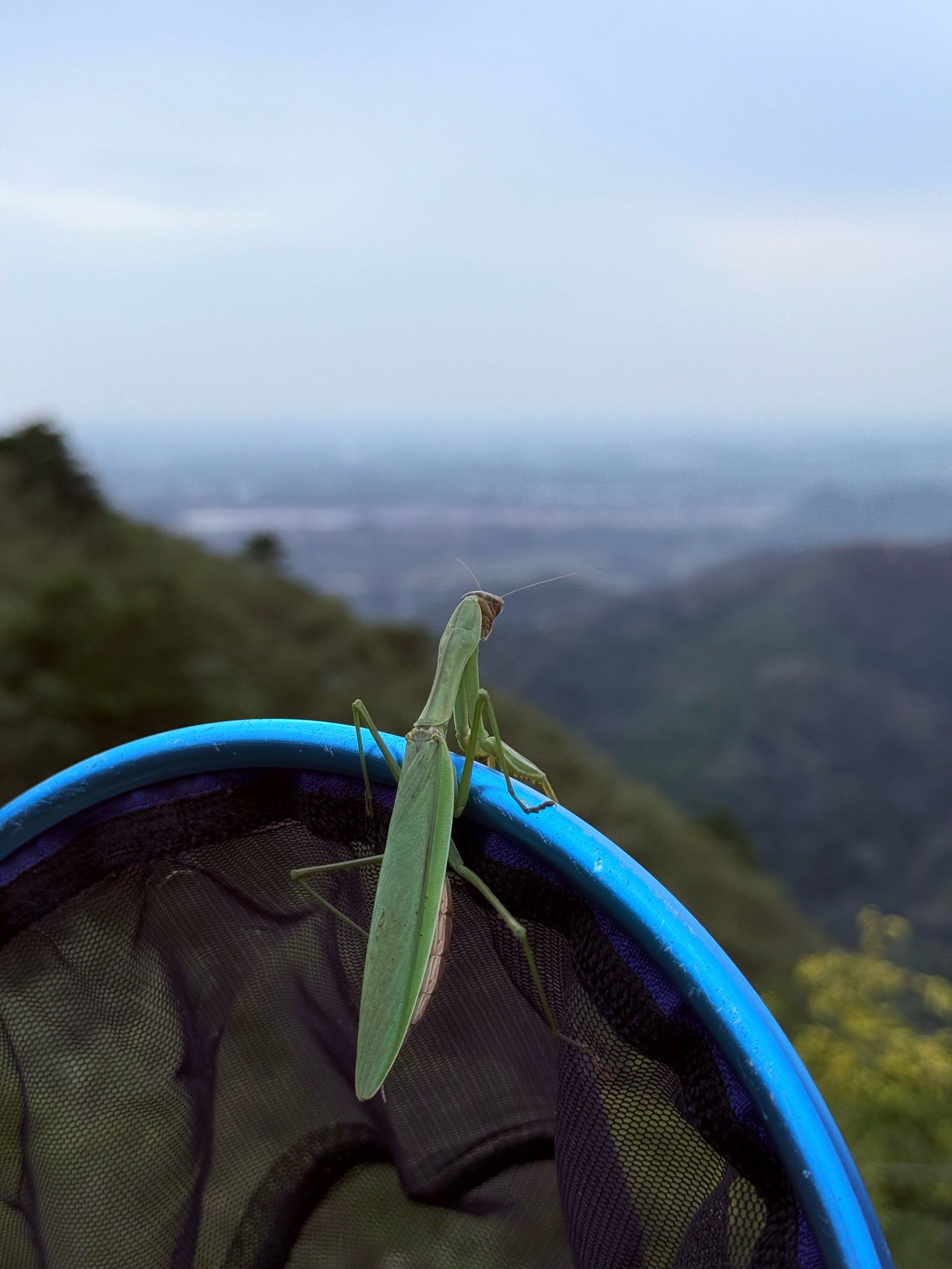 徒步路上的惊喜❓轻松实现蚂蚱自由❗️