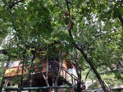 iphone_upload_pic-北京水岸山吧度假村(雁栖镇店)