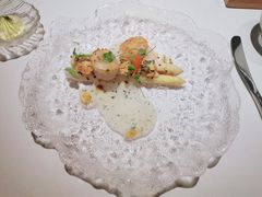 -蝶舍·MAISON PAPILLON