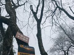 -九峰山