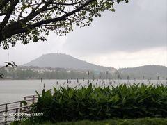-顺峰山公园