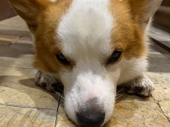 -Line 咖啡(石厦花园店)