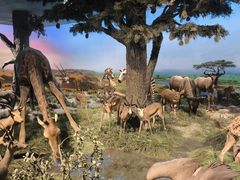 -国家自然博物馆