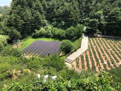-云峰山自然风景区