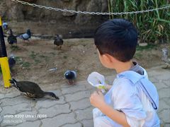 -西霞口神雕山野生动物世界