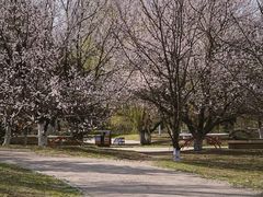 -长白岛森林公园