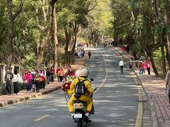 -南国桃园旅游度假区