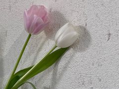 -铁炉咖啡(河下古镇店)