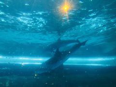 -波塞冬旅游度假区