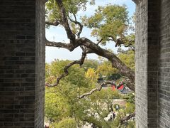 -江心屿景区
