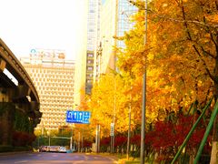 -重庆工商大学(南岸校区)