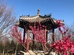 -北京凤凰岭