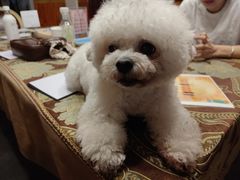 -伽利略剧本探案馆(国贸店)