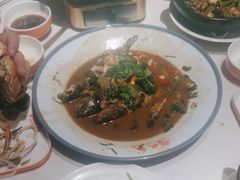 -杨氏青龙虾·羊蝎子(托乐嘉店)